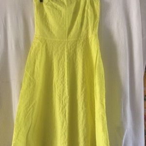 J Crew New cotton strapless dress